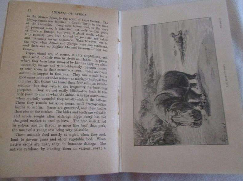 1909 - rare, collectable old book - Animals of Africa by H.A. Bryden