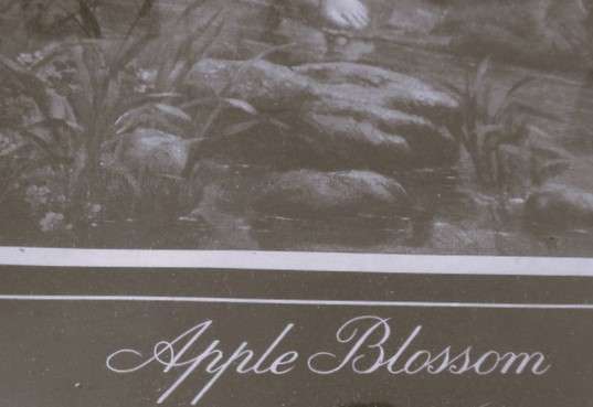 2. Antique Victorian Lemaitre picture framed in glass - Apple Blossom - nostalgia personified!