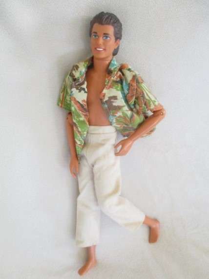 Barbie's boyfriend - articulated Mattel Ken doll with dark hair in cool, casual outfit