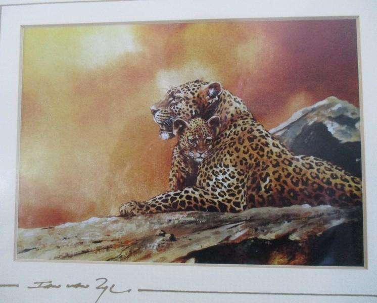 Two originally signed, beautifully framed prints by S.A. artist Ian van Zyl