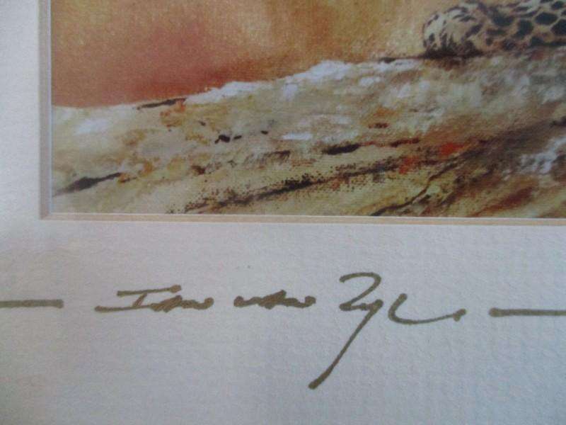Two originally signed, beautifully framed prints by S.A. artist Ian van Zyl