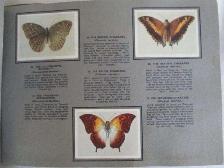 Vintage Bokomo and Springbok cards - two collectable albums on S.A. Butterflies and Moths - complete