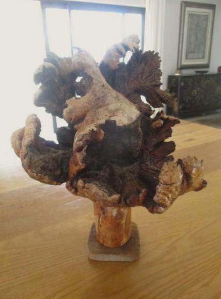 Amazing art from Nature - for aquarium? fairy garden? flower arrangements? or just to display