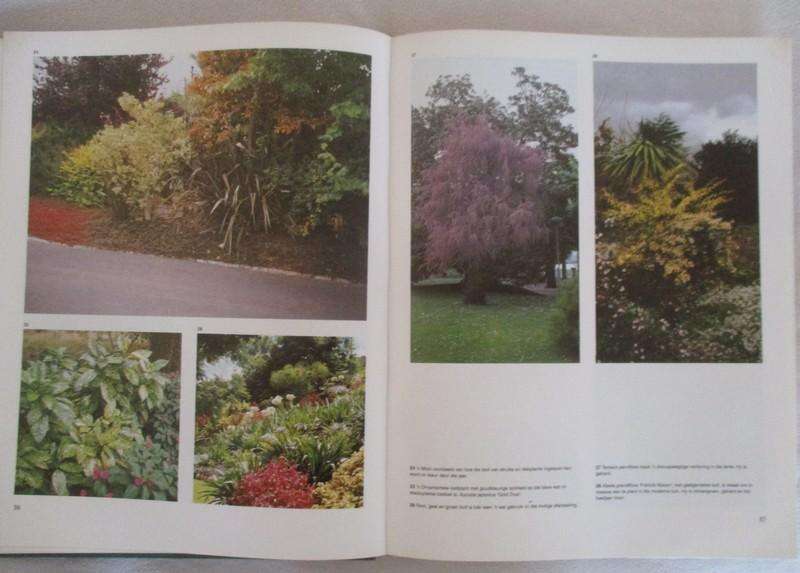 Die Moderne Tuin - Hester Fourie
