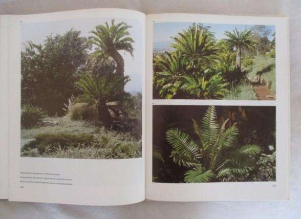 Die Moderne Tuin - Hester Fourie