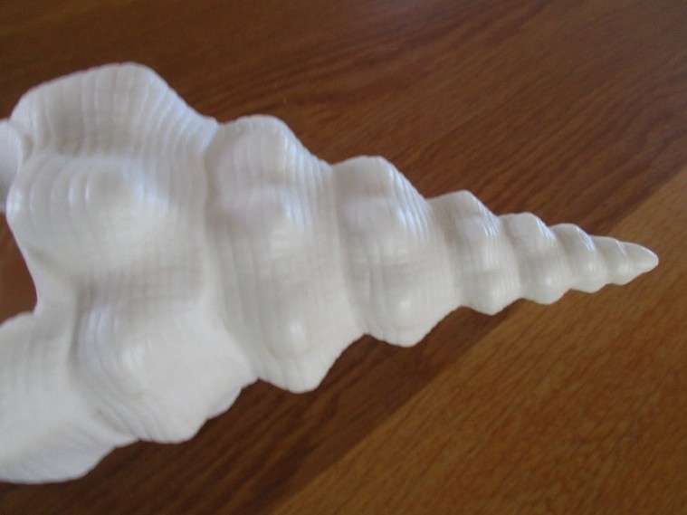 A lovely Luna Del Mar seashell shaped tealight candle holder