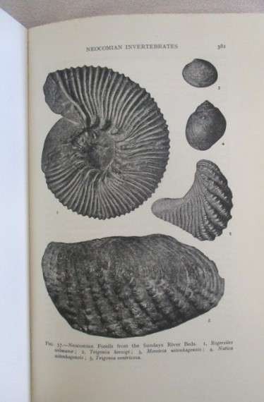 Geology of South Africa by Alex L. du Toit  - Har cover plus dust jacket