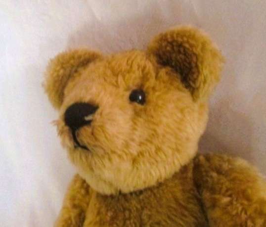 Vintage Classic Winnie the Pooh looking for honey in Hundred Acre Woods (pre-Disney stardom)