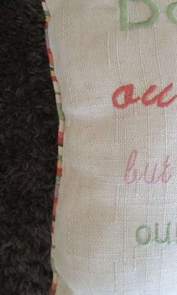 A cute small cushion for a doggy basket