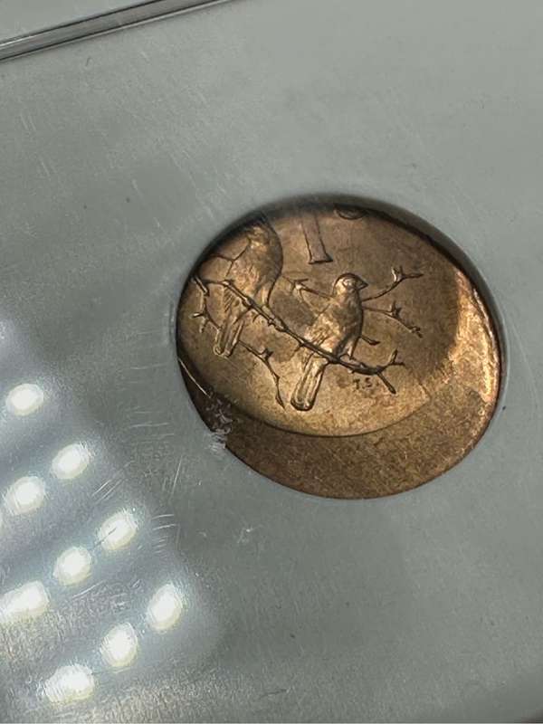 NGC graded error 1 cent coin