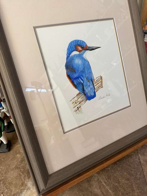 Christa Nolte Watercolour Bird Painting