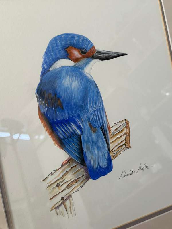 Christa Nolte Watercolour Bird Painting