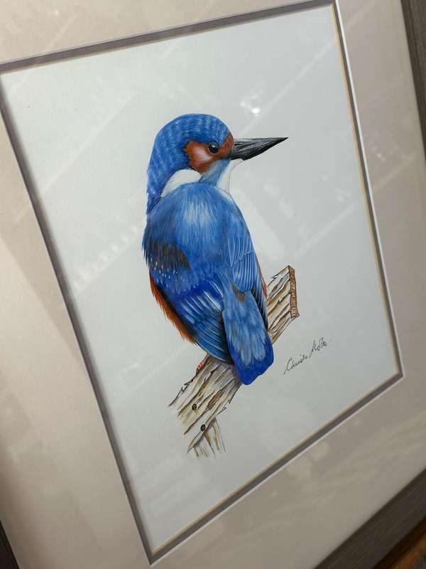 Christa Nolte Watercolour Bird Painting