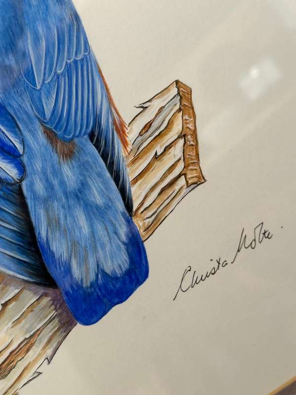Christa Nolte Watercolour Bird Painting