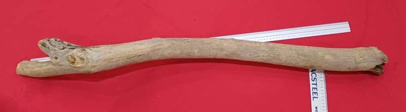 Large Piece of Driftwood  LOT 201