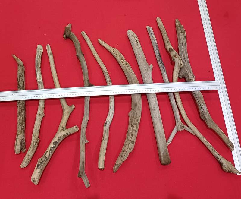 Crafts Driftwood Pieces Lot 202
