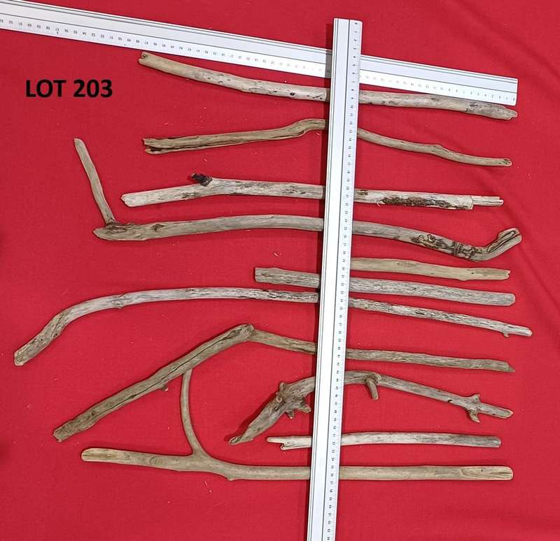 Driftwood Sticks Lot 203