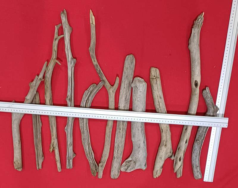Driftwood Pieces Lot 204