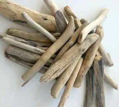 Driftwood Sticks Lot 203