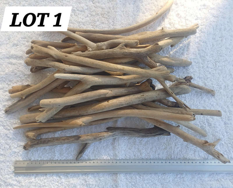 Driftwood Sticks Pieces Lot 1