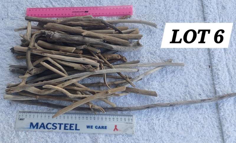 Driftwood Pieces Small Lot 6
