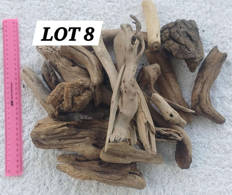 Driftwood Pieces and Clumps Lot 8