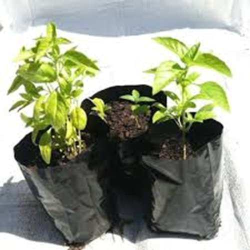 Garden / Nursery Planting Bags