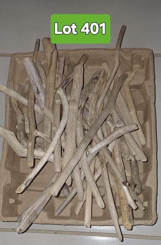 Driftwood Pieces Lot 401