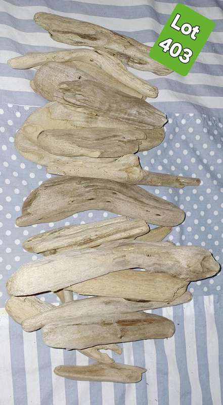 Driftwood Stumps Lot 403