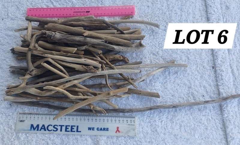 Driftwood Pieces Small Lot 6