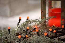 Red Berry Festive Lights