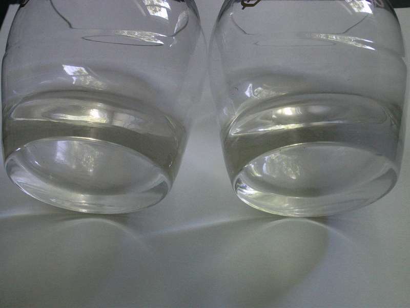 Chivas Regal Whiskey Glasses Pair Reduced to sell