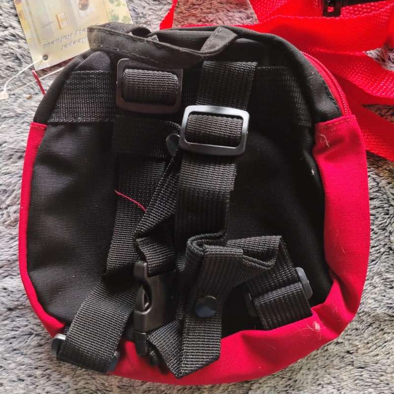 Ladybug Kids Safety Harness And Backpack