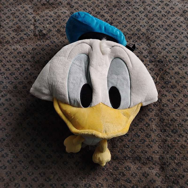 Disney Donald Duck Hat Fan Cap Headwear