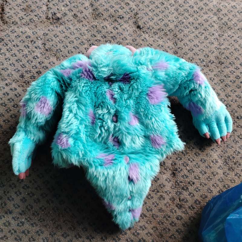 Rare Tokyo Disney Resort Monsters Inc Sully Full Character Hat with Arms Pixar