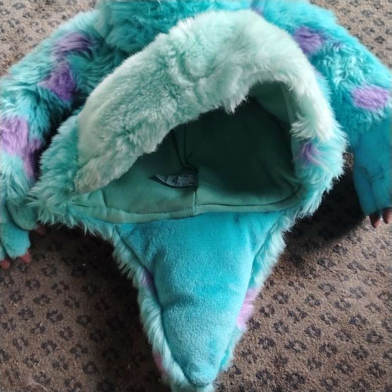 Rare Tokyo Disney Resort Monsters Inc Sully Full Character Hat with Arms Pixar