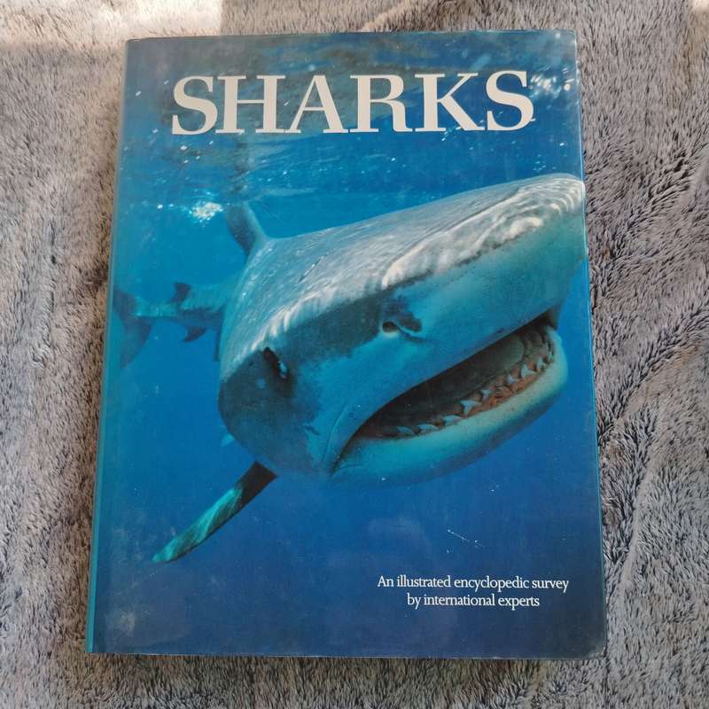 SHARKS