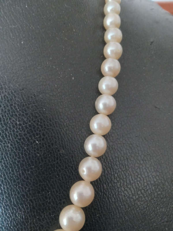 A String of Graduating Cultured Pearl Necklace With 9ct Gold Clasp - INCLUDES VALUATION  CERTIFICATE
