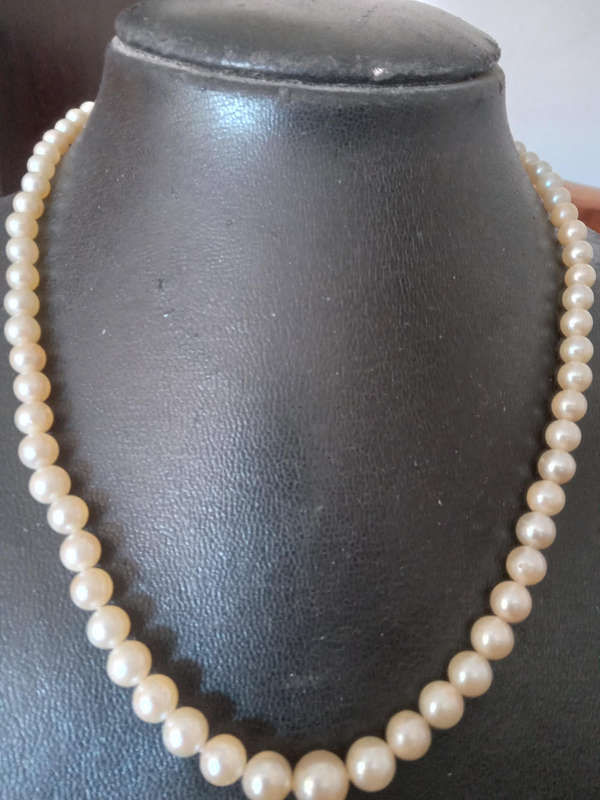A String of Graduating Cultured Pearl Necklace With 9ct Gold Clasp - INCLUDES VALUATION  CERTIFICATE
