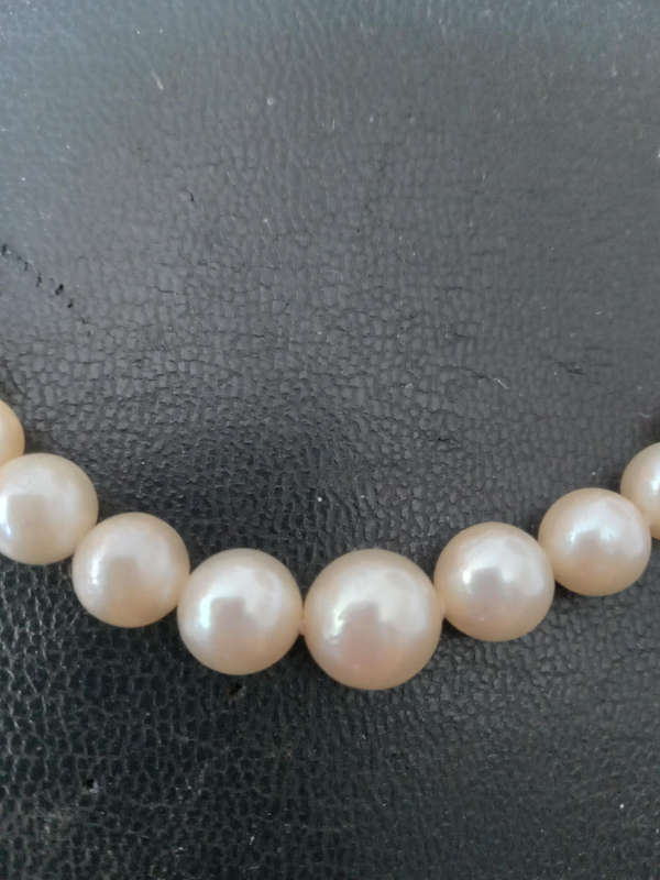 A String of Graduating Cultured Pearl Necklace With 9ct Gold Clasp - INCLUDES VALUATION  CERTIFICATE
