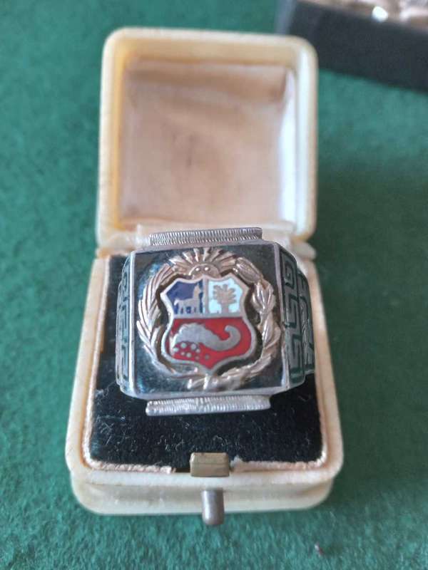 Rare Vintage Sterling Silver Gold And Enamel Peruvian "Coat Of Arms" Ring