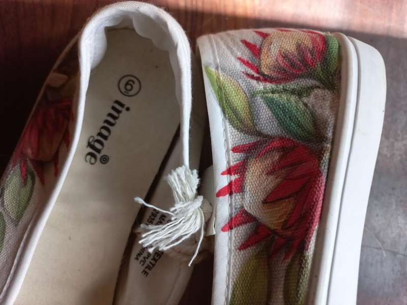 Handpainted canvas shoes