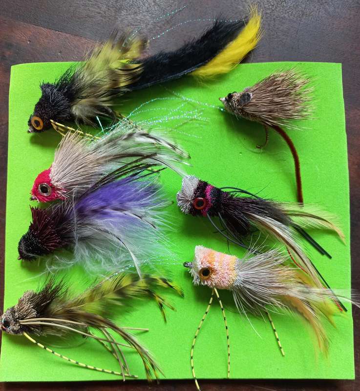 Bass fishing flies - Assorted pack