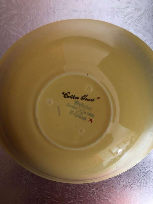 RARE POUNTNEY AND CO OF BRISTOL "COTTON GRASS" BOWL