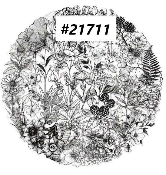 Scrapbooking supplies / Scrapbooking embellishment - PET Stickers - Black and White Flora - 50 piece