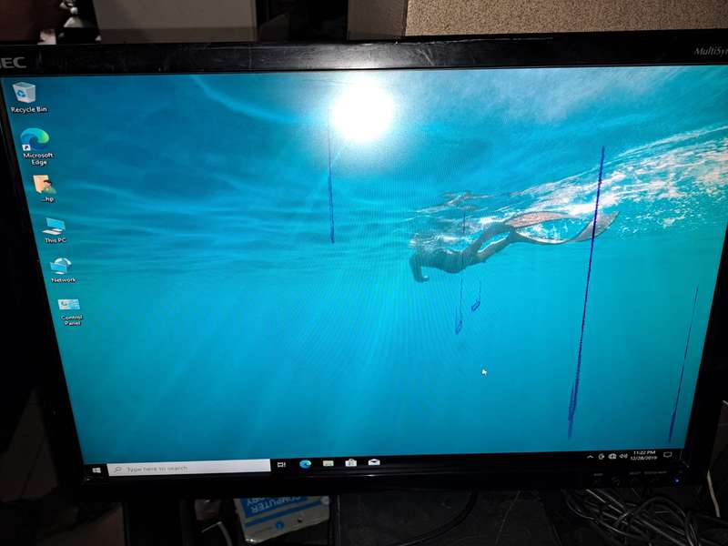 24" NEC LCD +WALL MOUNT(HAS LINES WORKS PERFECT)