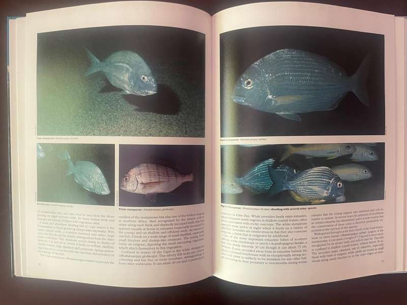 SEA FISHES, Everyones guide to sea fishes of Southern Africa, by Rudy van der Elst