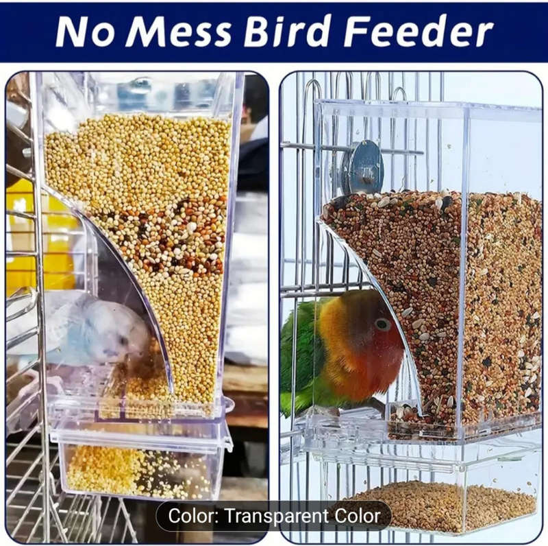 Bird feeder