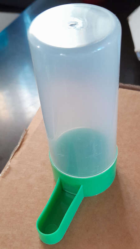 Bird water bottle feeder