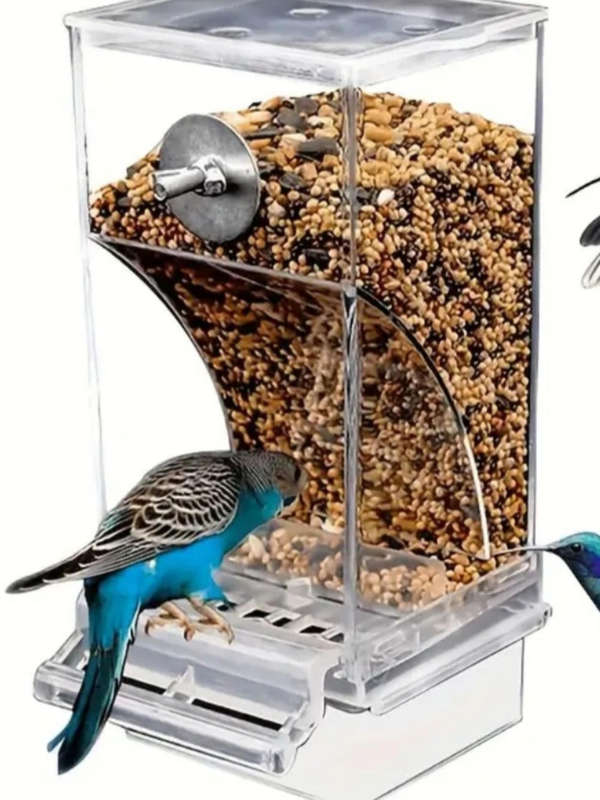 Bird feeder